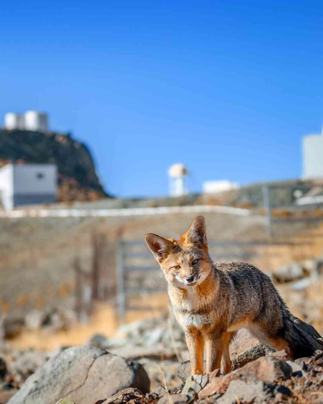 Foto da experiência astronômica no Chile